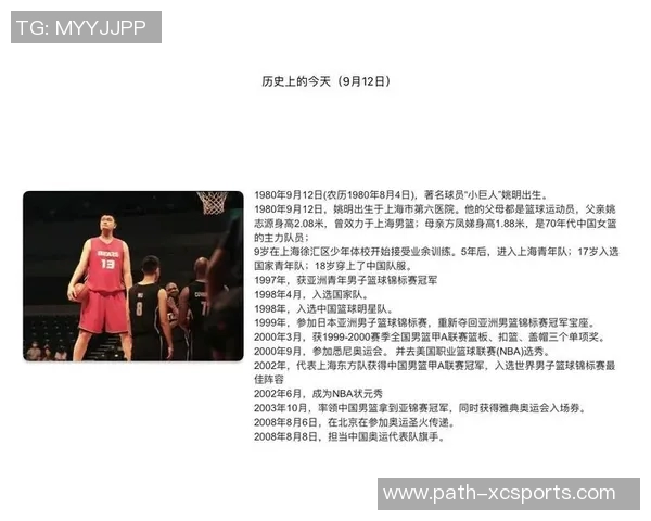 NBA最高篮球明星的传奇之路与辉煌成就揭秘